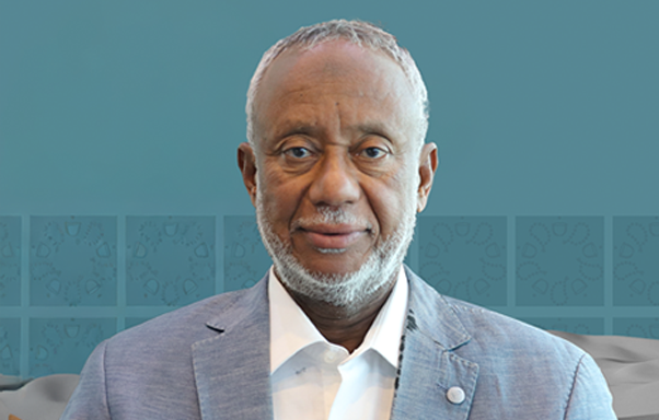 الاستاذ / مالك فضل