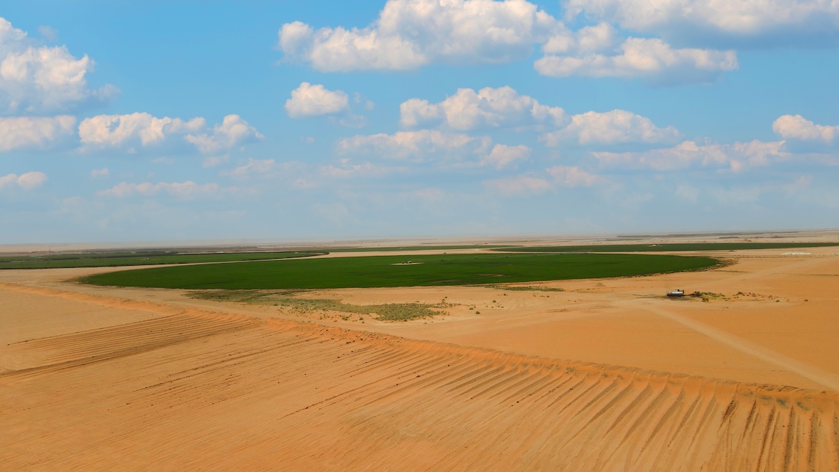 مساحات مزروعة وسط البيئة الصحراوية، من معرض نوامي الرسمي.